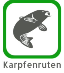 Karpfenrute Angelruten carp