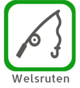 Wallerrute Welsrute